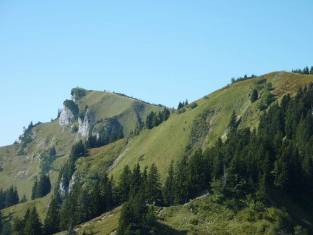 10 years QFS: Ideal slope